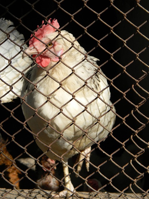 营方面取得 营方面取得