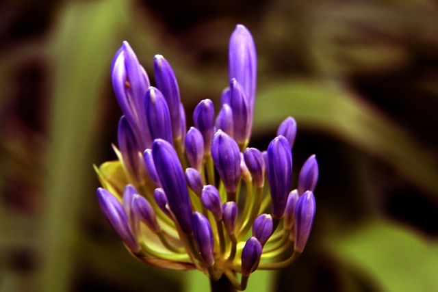 济发展的亮 济发展的亮